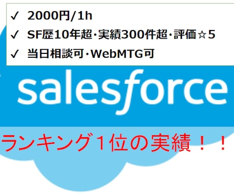 Salesforceのご相談にお答えいたします セールスフォース歴10年超(導入/開発責任者&運用責任者） イメージ1