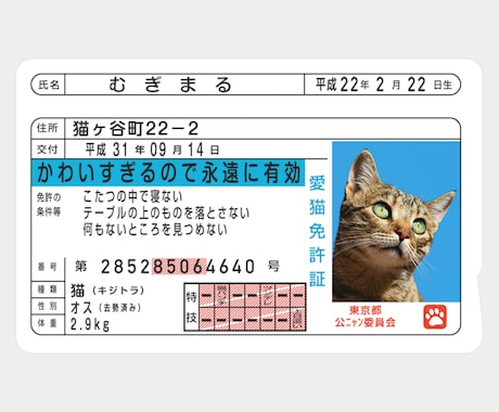 運転免許証そっくりなICカードステッカー作ります ペットの写真で作って、Suicaなどに貼っちゃおう！ イメージ2