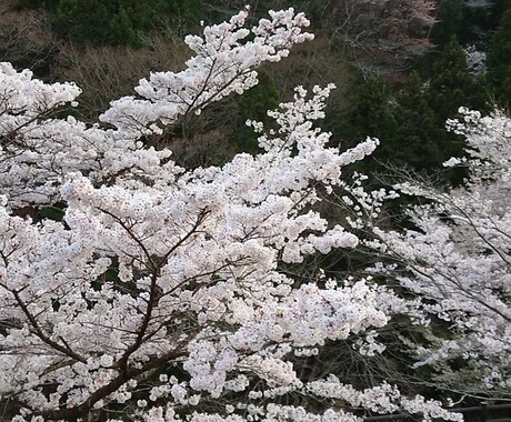人生の悩み相談現役助産師が、相談アドバイスします 虐待いじめ高校中退から助産師。不登校からむすめを医療者に イメージ2