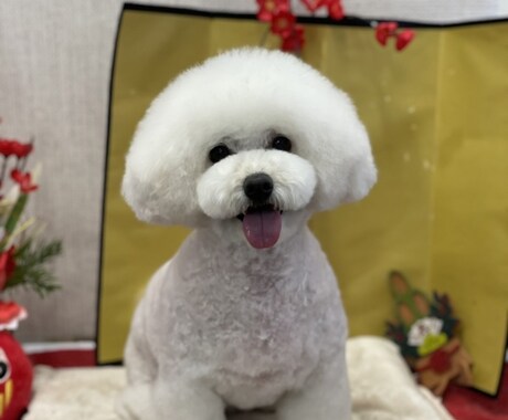 少しでも心を軽くします あなたの心が少しでも軽くなればと思います。 イメージ1