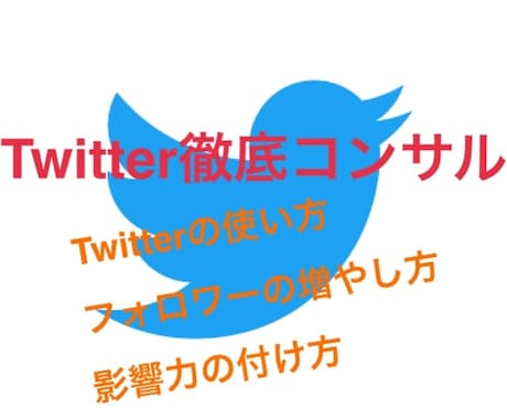 先着3名特価！Twitter収益化方法教えます Twitterを収益化させた方法を2日間で教えます！！ イメージ1
