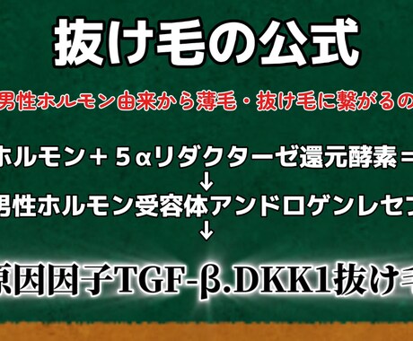 薬に頼らない薄毛・抜け毛・AGA対策を伝えます AGA・FAGA  10000回頭皮を診たプロが解説します！ イメージ2