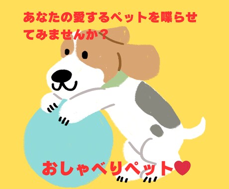 笑顔を届けるペット動画を作成します 愛するペットが贈る心温まる笑顔の瞬間 イメージ1