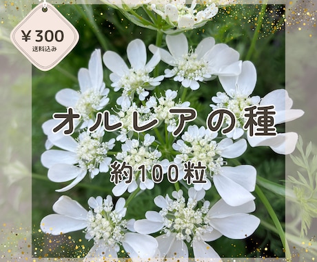 メルカリ出品写真を丁寧に編集＆加工します 背景白抜きや明るさ調整、文字入れなど対応可能。 イメージ1