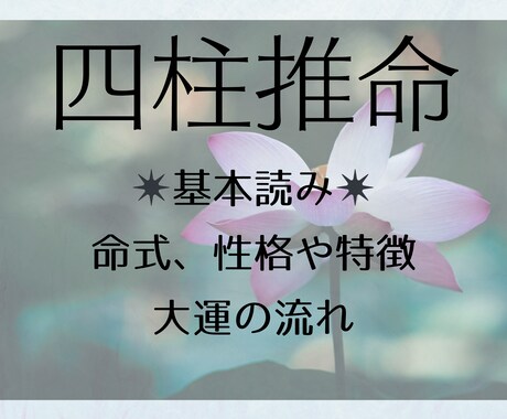 あなたの説明書を作成します ☆運勢の流れを読み生活に活かす☆ イメージ1