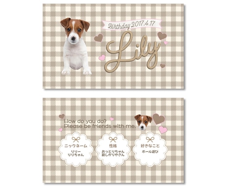 ご家族の可愛いお写真を名刺にします My fam card（マイファムカード）❽／うちの子名刺 イメージ2