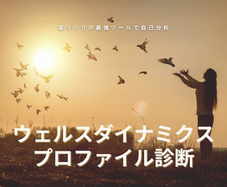 富づくりの最強ツールであなたの才能タイプ診断します 富作りの最強ツール「ウェルスダイナミクス」プロファイル診断 イメージ1