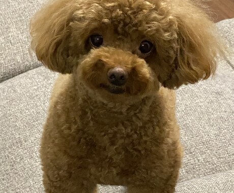 お話しを聞いて貴方を幸せにします 話しを聞いて幸せにする力を持っています❣️ イメージ2