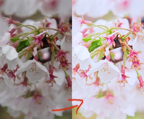 レタッチで写真をより美しくします レタッチで目で見たままの美しさを表現します！ イメージ1