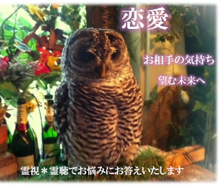 あなたの【恋の行方】占います 迷った時の道しるべ✨あなただけのガイドになります☆彡 イメージ1