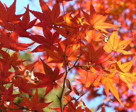 言い捨てしてください☆聞き捨てします 誰にも話してない、でも言いたい！スッキリしてください。 イメージ1