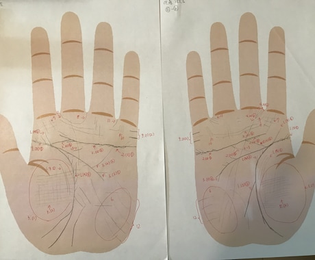 手相リーディングマスター資格保有者が鑑定致します 世界にただ一つのあなたの手相を読み解き、鑑定書として纏めます イメージ2