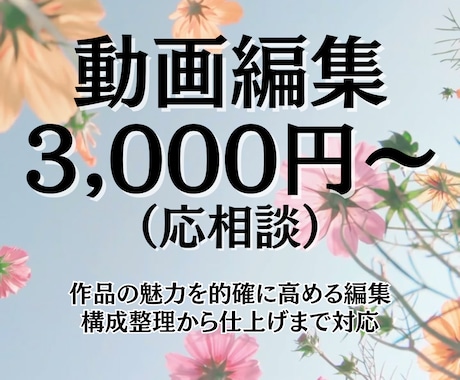 短尺動画で魅力をより的確に伝える編集作業を行います 短尺動画で要点をすばやく届け視線を止める編集クオリティを提供 イメージ1