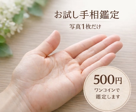 手相占い お試し今の運気を鑑定します 今の流れを整える一歩に、あなたらしくいるためにサポートします イメージ1