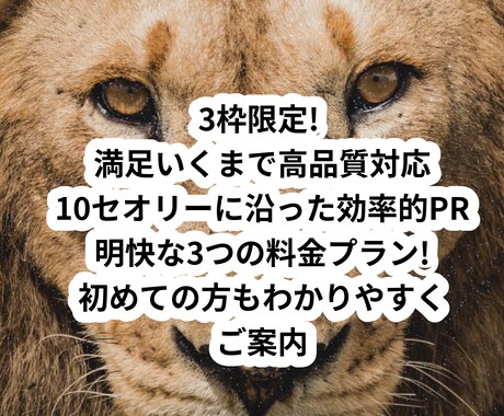 ネット販促にも使えるデザインチラシ承ります 操作が苦手な方もわかりやすくご案内 イメージ2