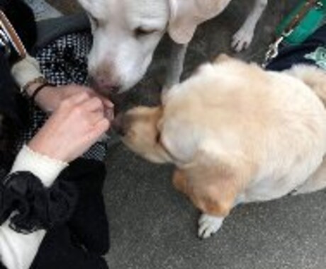 ペットのお話を聞かせて頂いてます うわさ話や自慢話など、気軽にお話下さい。 イメージ1
