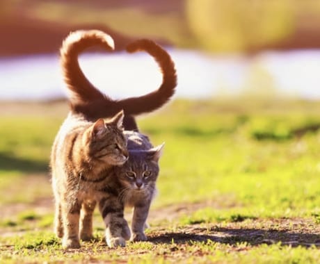 24H以内納品☆最大1000語を翻訳します 日本在住アメリカ帰国子女によるナチュラルな翻訳☆ イメージ2