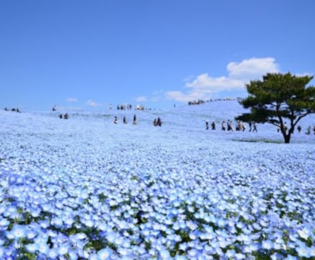 誰にも言えないとき、何でも伺います 苦しくて行き場のないあなたへ、、、 イメージ1