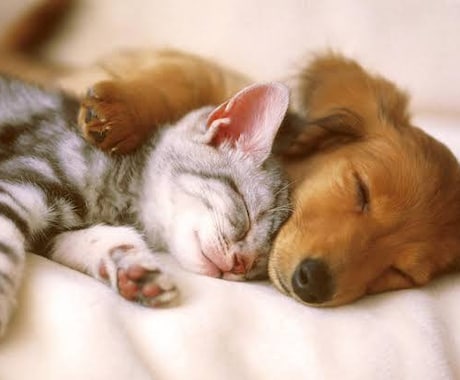 ヨガ講座します ヨガ技法のレクチャーを行います イメージ1