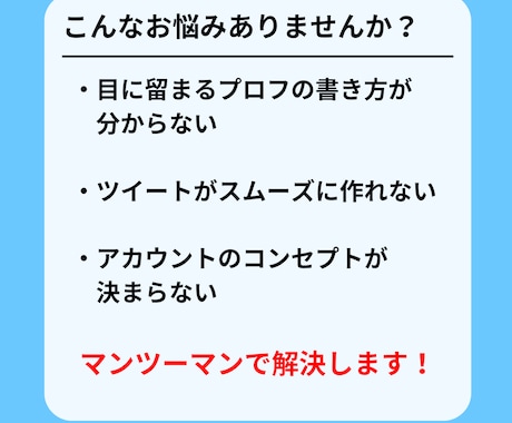 Twitter運用のアドバイスします 初心者でも安心！一週間マンツーマンで応援します イメージ2