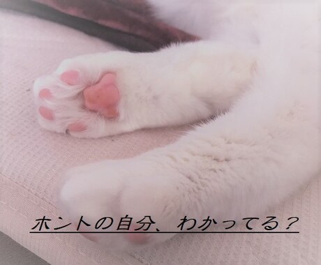 気づいていない本当のあなたを教えます 潜在意識の言語化とヘリオの星読みで上手な生き方をお伝えします イメージ1