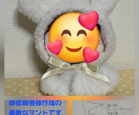 御希望ぬいぐるみの着ぐるみ型紙作成します お好きなぬいぐるみのお好きなデザインの着ぐるみ型紙 イメージ2