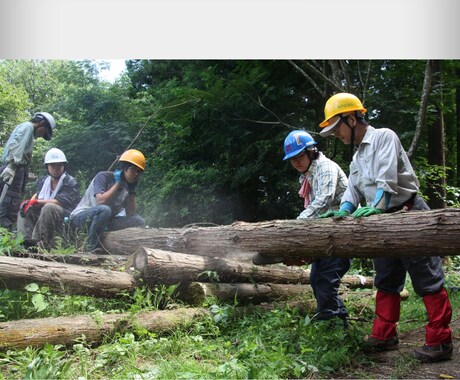 森林整備ボランティアツアー体験ます 森林整備ボランティアツアー体験 イメージ1