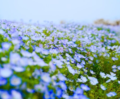 1人で寂しい時はお話聞きます 悩み相談、愚痴、雑談何でもお話聞きます(*ˊᵕˋ*) イメージ1