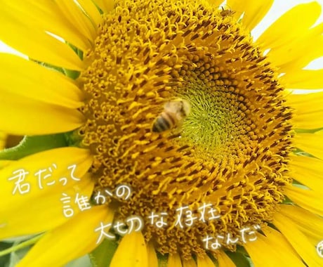 本当の自分を見つけるお手伝いします 自分がどこへ進んでいいかわからない方へ、そっと背中を押します イメージ2