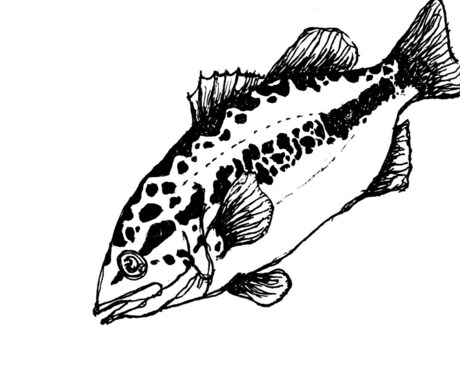 ボールペンで味のあるイラスト書きます ジャンルは問わずなんでもイラストにできたらと思います イメージ2