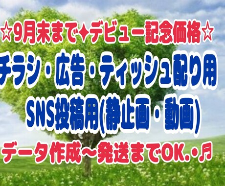 反響抜群☆なチラシや広告を目指します ☆︎9月末まで記念価格✦︎SNS用の広告も作成可能です︎✦︎ イメージ1