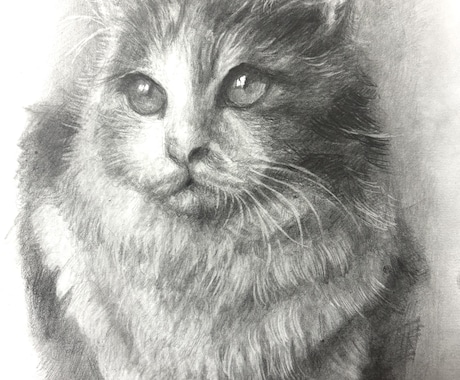 リアル鉛筆画　写真から心に残るものを制作します イメージ1