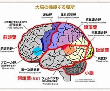 認知症良くなる？「認知症改善予法１０か条」教えます MCIは改善します。キーワードは脳の可塑性です。 イメージ2