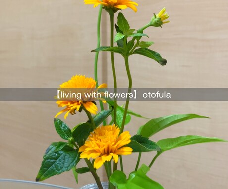 初心者さんにお花の飾り方をアドバイスします あなたもお気軽に『花のある暮らし』をしてみませんか？ イメージ2