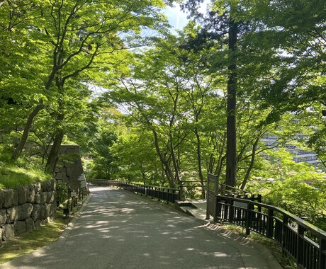 個人の全体運、健康運を鑑定します 自分の性質がホロスコープから詳細にわかります イメージ1