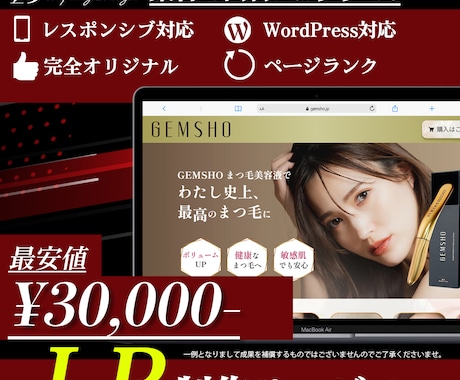 低価格で高品質のランディングページ作成いたします 定期支払OKLP制作ならお任せ イメージ1