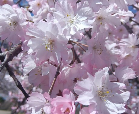 誰にも言えない気持ち、否定せず最後まで聞きます うまく話せなくても大丈夫。あなたのペースでお話しください。 イメージ1