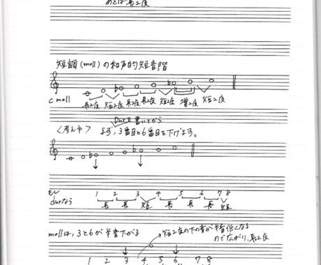 あなた様専用の楽典の解説付きドリルを作成します 段階に合ったわかりやすい教材を作成いたします。 イメージ1