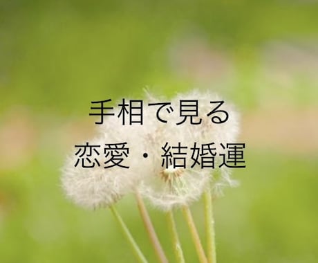 手相でわかる本当のあなたを鑑定します 今のあなたの状態・性格・才能を読み解きます イメージ2