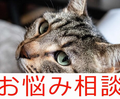 1日チャットします あなたの相談に乗ります。独りで悩まないように イメージ1