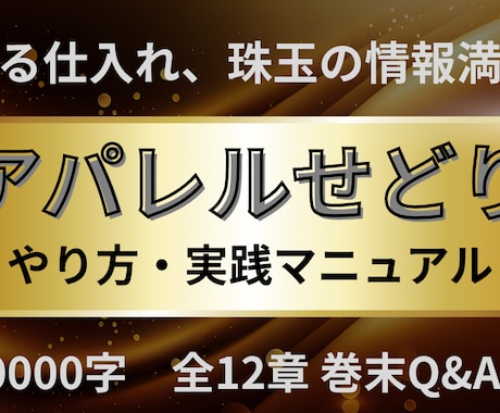 目利きを駆使しセカストで購入した古着を売ります 低資金低リスクでセカストで仕入れてメルカリで売る手法ノウハウ イメージ1
