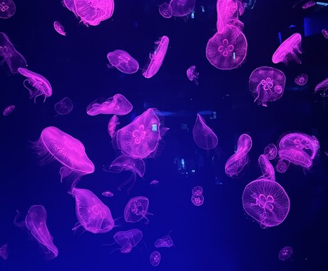 男性限定！ゆったり落ち着いた時間を提供します 癒されたい方、お仕事でお疲れの方のお話相手になります＾＾ イメージ2