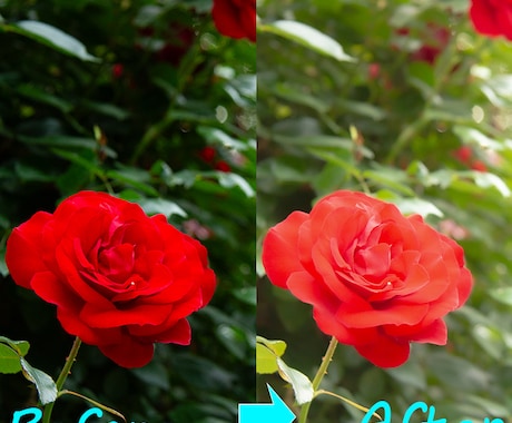 写真の明るさ補正・空の差し替えします SNS映え加工OK Photoshop対応！ イメージ2