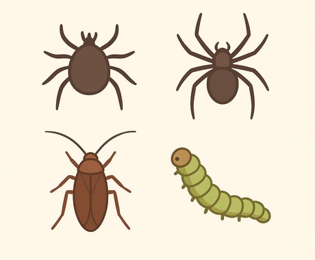 元農家がお家・畑などの「虫」解説します 画像を見て虫の種類、危険度、対処法を考えます！ イメージ1