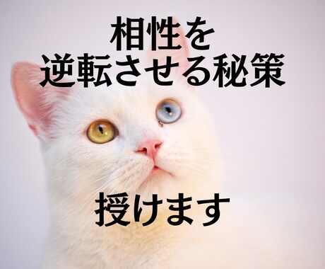 二人の相性を最高潮に導くあなた専用の秘策を占います 片思い｜結婚相手｜相性が奇跡的に上げる方法を読み解く イメージ1