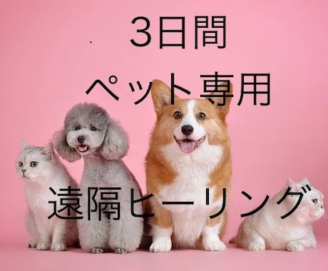 ペットへ遠隔ヒーリングをお届けします 療養中のペットに癒しを提供致します イメージ1