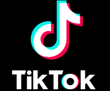 Tiktokの広告運用代行を承ります Tiktok両OSの広告運用代行 イメージ1