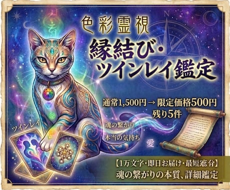 限定価格　この縁は本物？ツインレイを即日占います 魂の繋がり・二人の縁の深さ・これからの流れを色彩霊視で鑑定 イメージ1