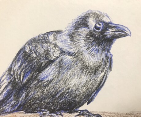 ペットのイラストを描きます あなたのお気に入りのペットを好きな色で残す イメージ2