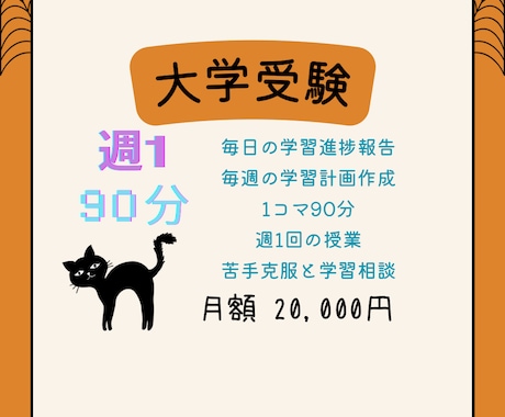 元京大院生のプロ講師が高校生を1ヶ月間教えます 理系6教科8科目全てを教え定期試験・受験対策を行います イメージ2